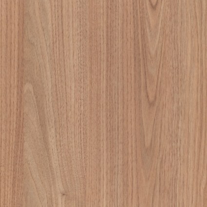 Tasmanian Oak - P